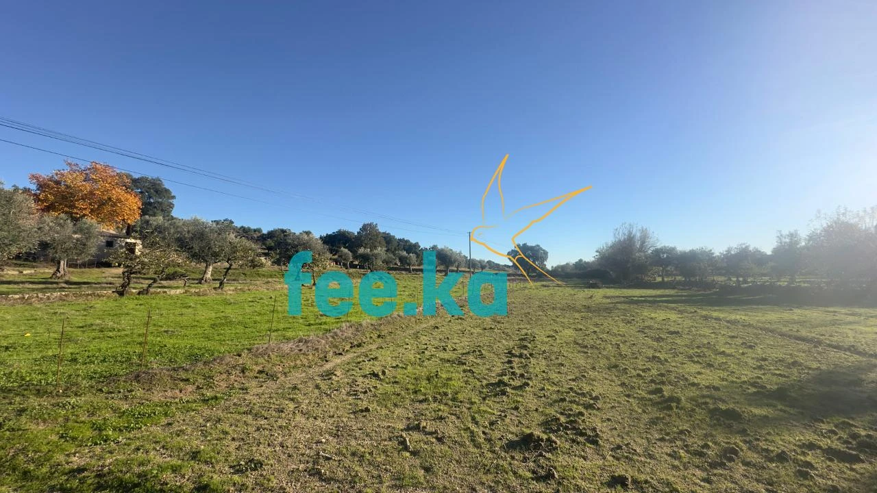 Quinta para Venda em Escalos de Baixo e Mata Foto 15