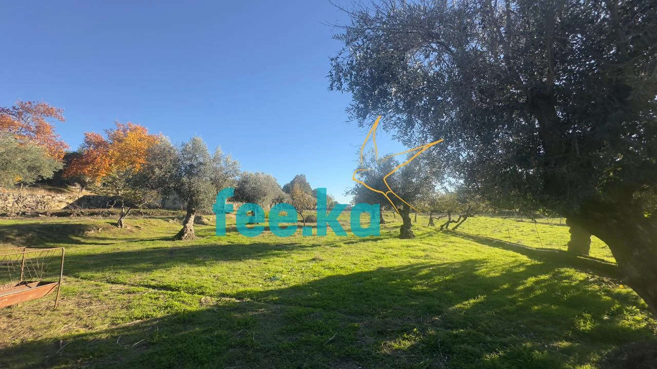 Quinta para Venda em Escalos de Baixo e Mata Foto 19