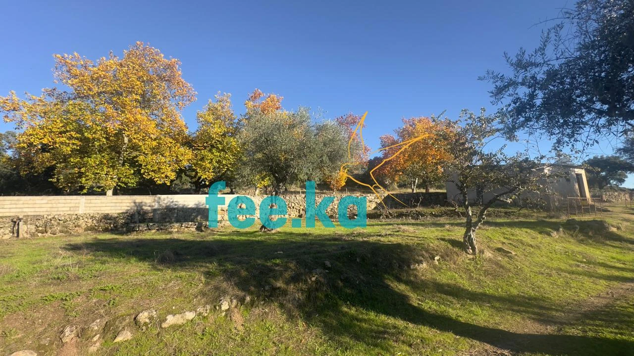 Quinta para Venda em Escalos de Baixo e Mata Foto 21