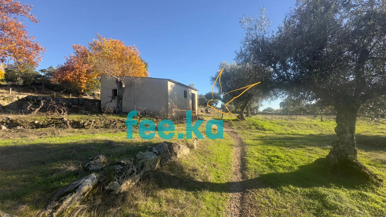 Quinta para Venda em Escalos de Baixo e Mata Foto 1