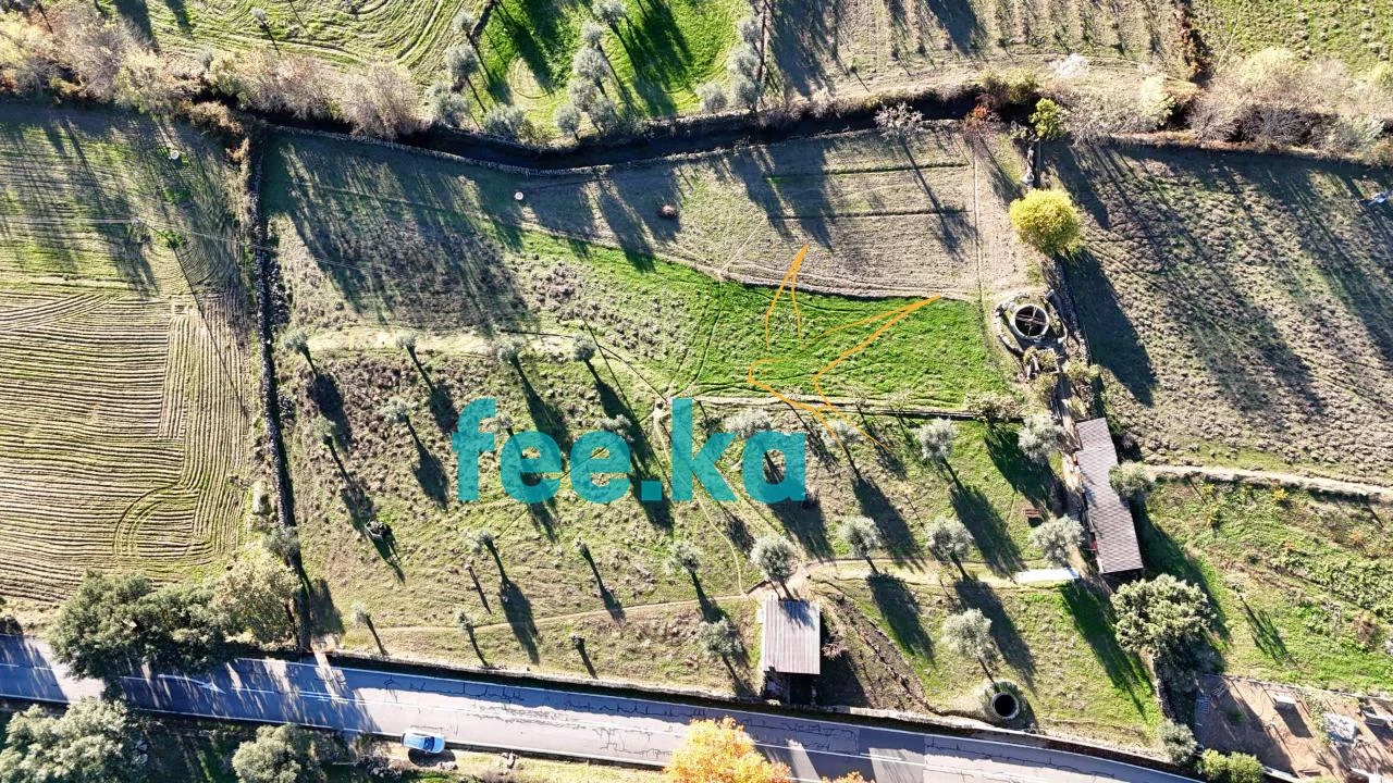 Quinta para Venda em Escalos de Baixo e Mata Foto 29