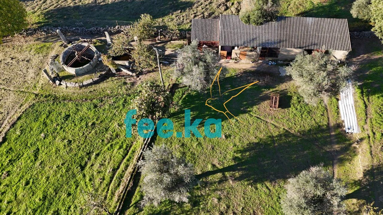 Quinta para Venda em Escalos de Baixo e Mata Foto 32