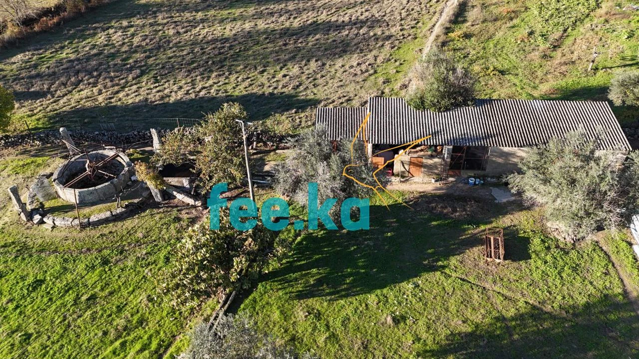 Quinta para Venda em Escalos de Baixo e Mata Foto 33