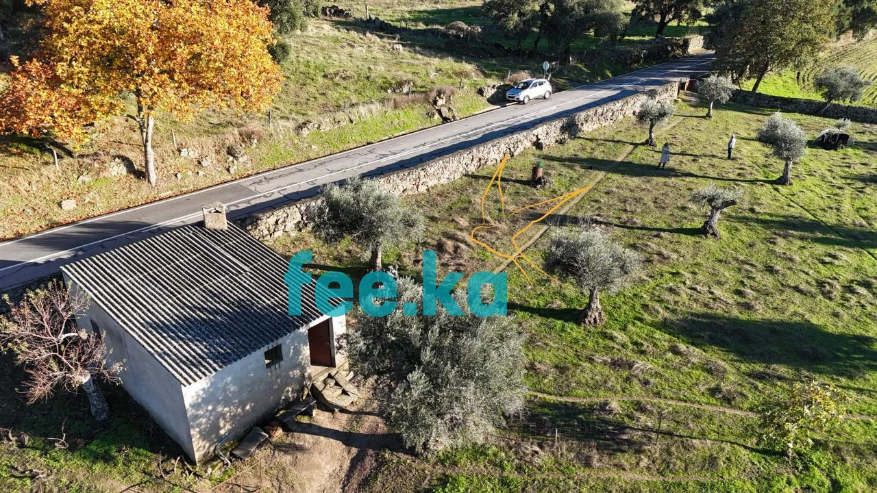 Quinta para Venda em Escalos de Baixo e Mata Foto 34