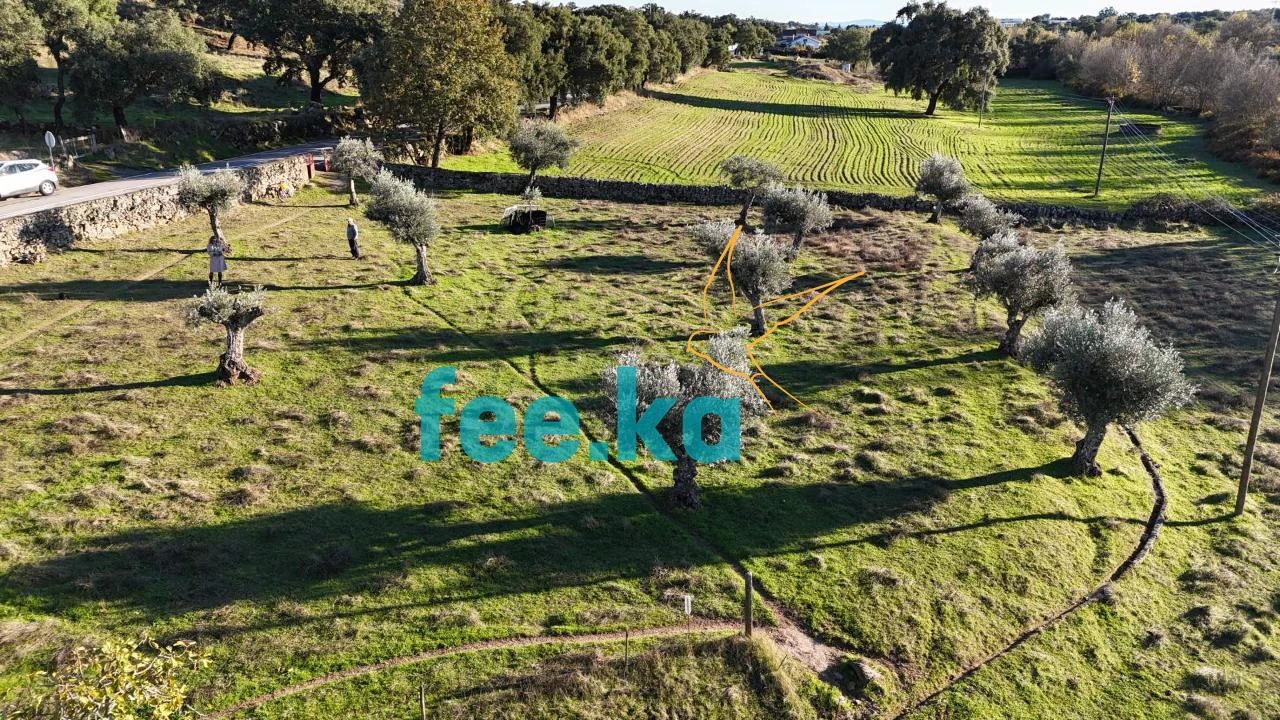 Quinta para Venda em Escalos de Baixo e Mata Foto 36