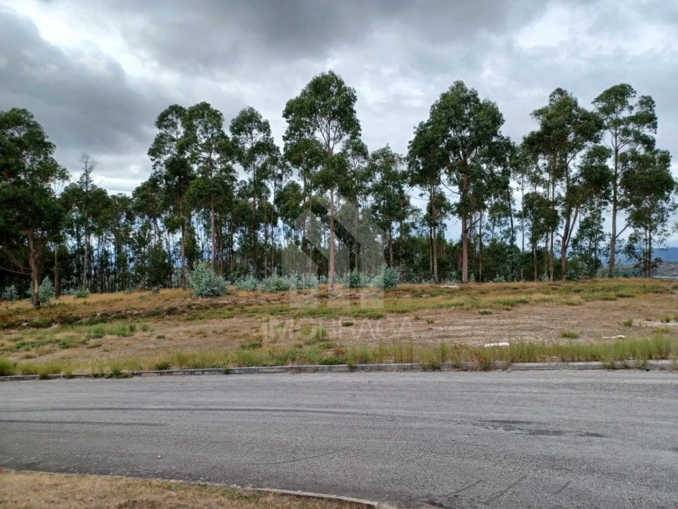 Terreno Comércio / Armazém para Venda em Sobreposta Foto 4