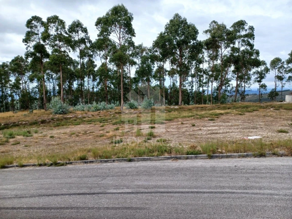 Terreno Comércio / Armazém para Venda em Sobreposta Foto 3