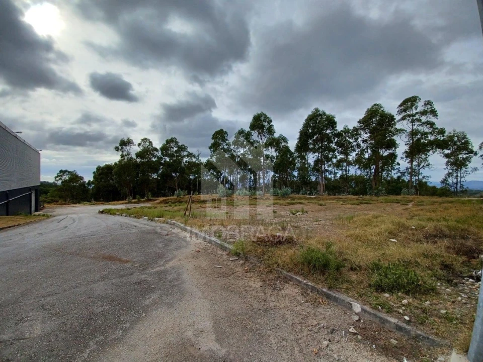 Terreno Comércio / Armazém para Venda em Sobreposta Foto 2
