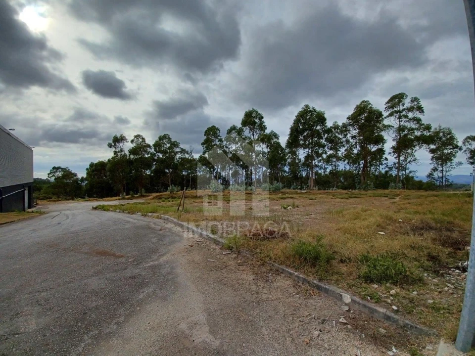 Terreno Comércio / Armazém para Venda em Sobreposta Foto 5