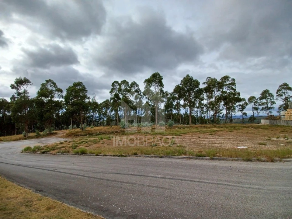 Terreno Comércio / Armazém para Venda em Sobreposta Foto 8