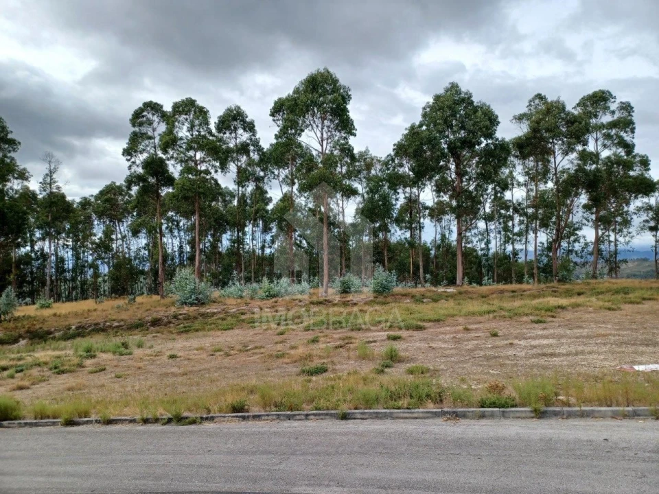 Terreno Comércio / Armazém para Venda em Sobreposta Foto 9