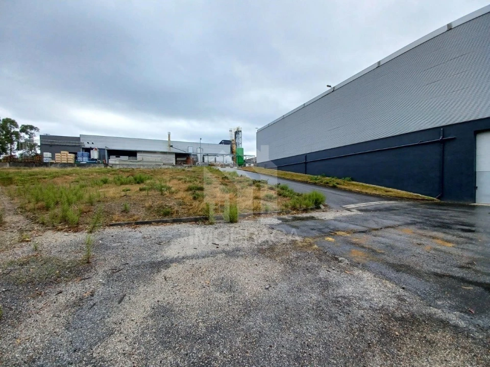 Terreno Comércio / Armazém para Venda em Sobreposta Foto 16