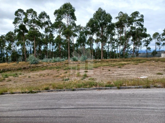 Terreno Comércio / Armazém para Venda em Sobreposta Foto 3