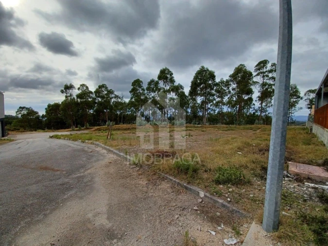 Terreno Comércio / Armazém para Venda em Sobreposta Foto 6