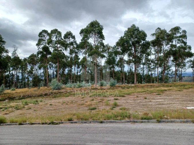 Terreno Comércio / Armazém para Venda em Sobreposta Foto 9