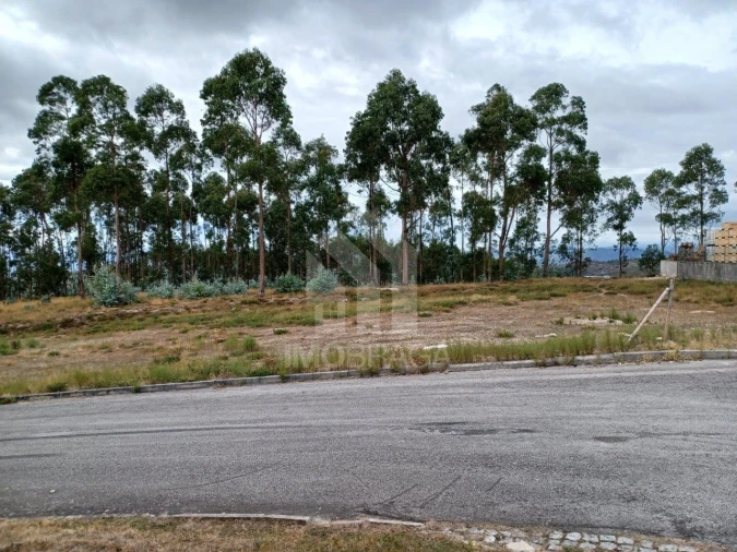Terreno Comércio / Armazém para Venda em Sobreposta Foto 10