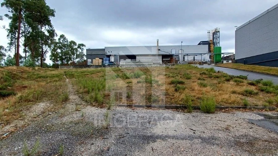Terreno Comércio / Armazém para Venda em Sobreposta
