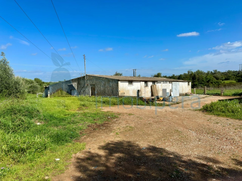 Terreno Misto para Venda em Algoz e Tunes Foto 13