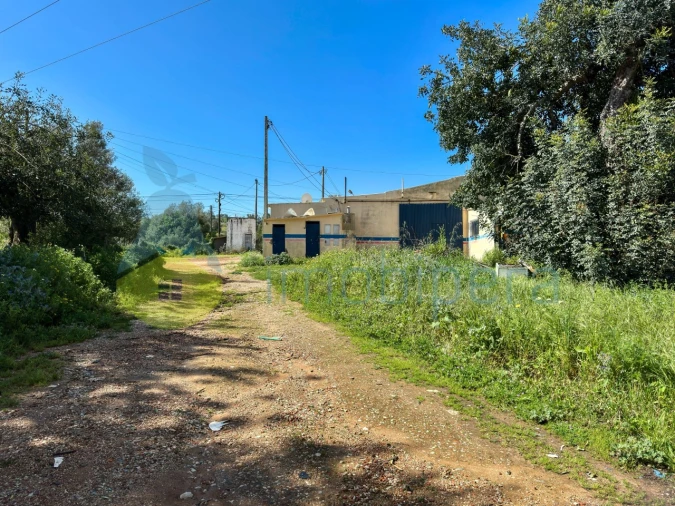 Terreno Misto para Venda em Algoz e Tunes Foto 2