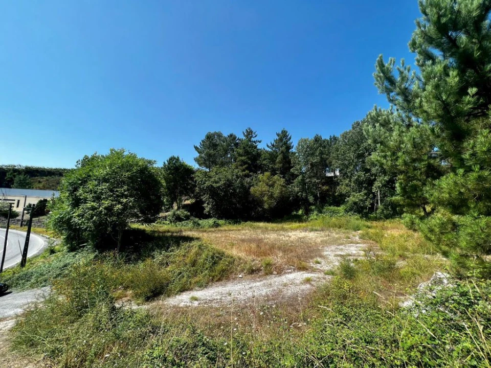 Terreno P/ Prédio para Venda em Amarante (São Gonçalo), Madalena, Cepelos e Gatão Foto 3