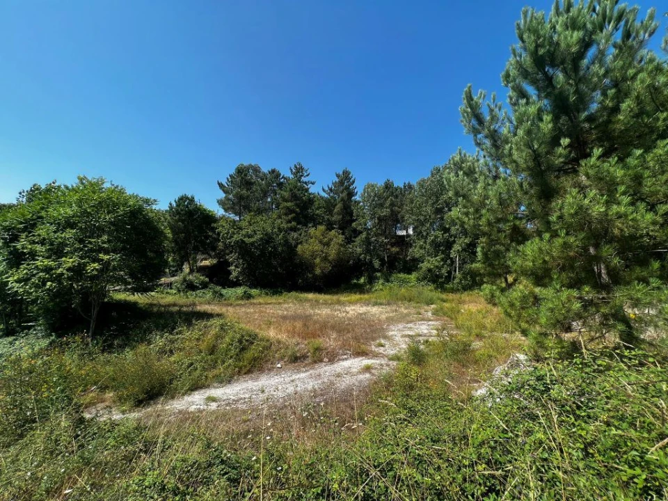 Terreno P/ Prédio para Venda em Amarante (São Gonçalo), Madalena, Cepelos e Gatão Foto 5