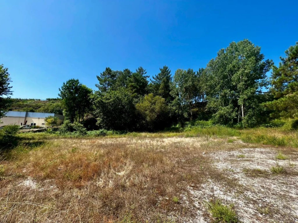 Terreno P/ Prédio para Venda em Amarante (São Gonçalo), Madalena, Cepelos e Gatão Foto 12