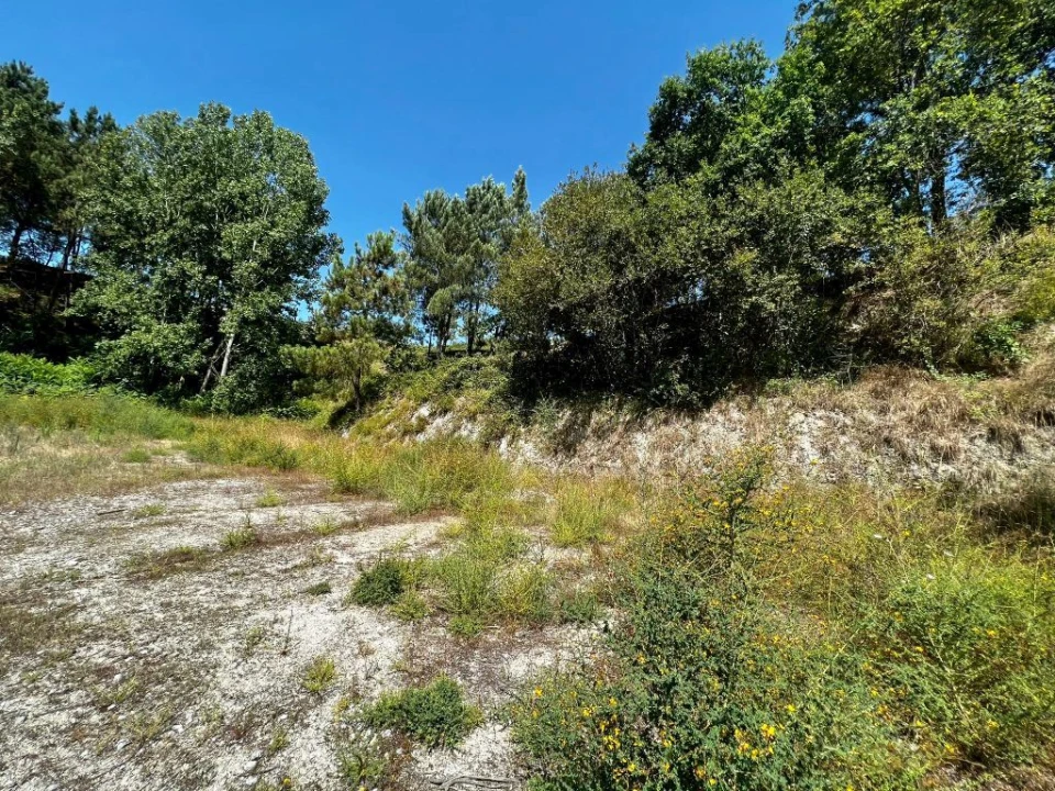Terreno P/ Prédio para Venda em Amarante (São Gonçalo), Madalena, Cepelos e Gatão Foto 14