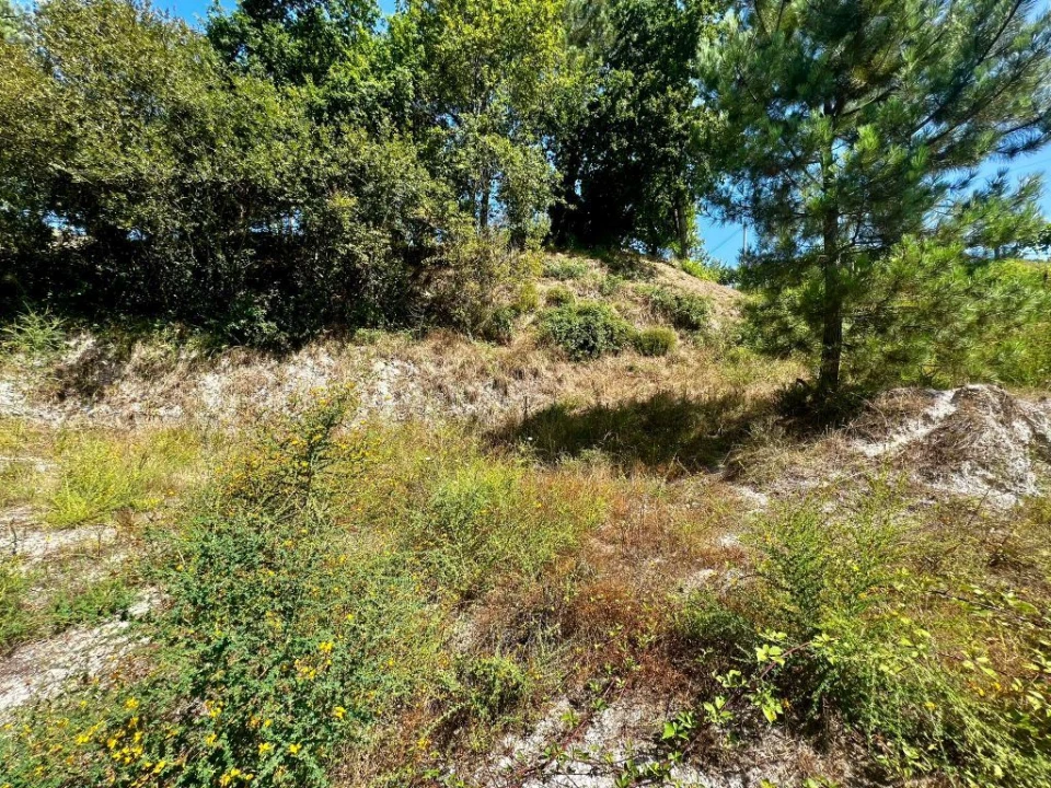Terreno P/ Prédio para Venda em Amarante (São Gonçalo), Madalena, Cepelos e Gatão Foto 15