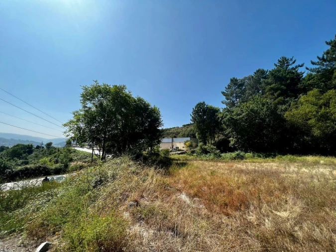 Terreno P/ Prédio para Venda em Amarante (São Gonçalo), Madalena, Cepelos e Gatão Foto 13