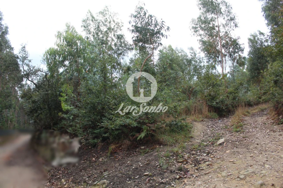 Terreno Agricola ou Rústico para Venda em Bagunte, Ferreiró, Outeiro Maior e Parada Foto 1