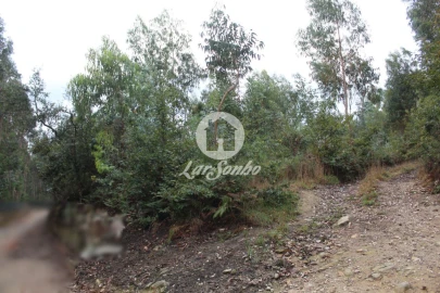 Terreno Agricola ou Rústico para Venda em Bagunte, Ferreiró, Outeiro Maior e Parada