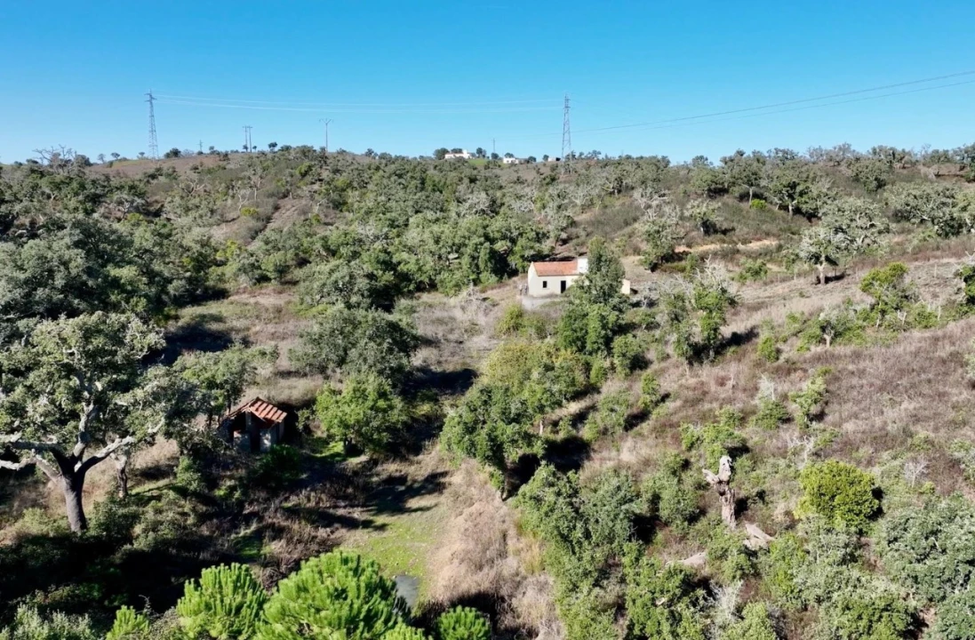 Quinta T3 para Venda em Santiago do Cacém, Santa Cruz e São Bartolomeu da Serra Foto 13