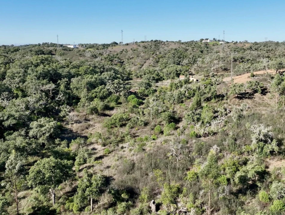 Quinta T3 para Venda em Santiago do Cacém, Santa Cruz e São Bartolomeu da Serra Foto 15