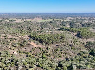 Quinta T3 para Venda em Santiago do Cacém, Santa Cruz e São Bartolomeu da Serra