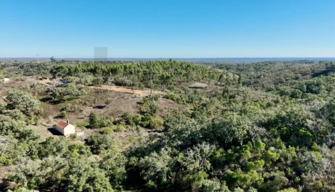 Quinta T3 para Venda em Santiago do Cacém, Santa Cruz e São Bartolomeu da Serra