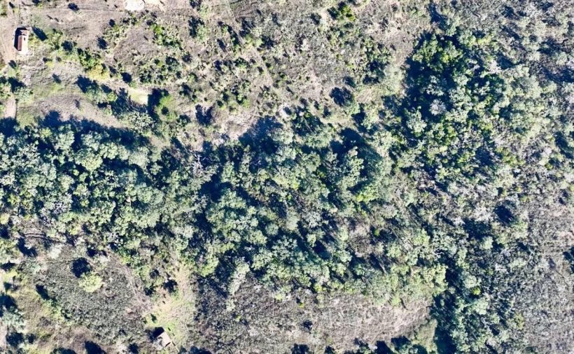 Quinta T3 para Venda em Santiago do Cacém, Santa Cruz e São Bartolomeu da Serra Foto 16