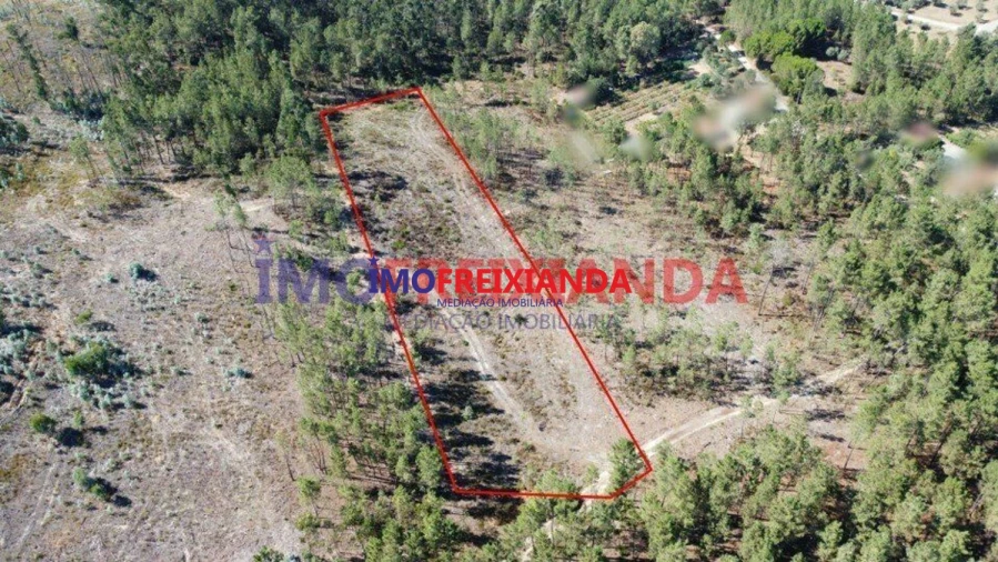 Terreno para Venda em Freixianda, Ribeira do Fárrio e Formigais Foto 2