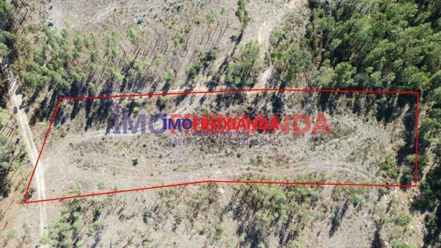 Terreno para Venda em Freixianda, Ribeira do Fárrio e Formigais