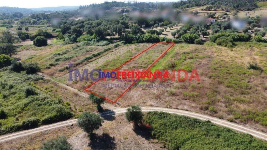 Terreno para Venda em Freixianda, Ribeira do Fárrio e Formigais