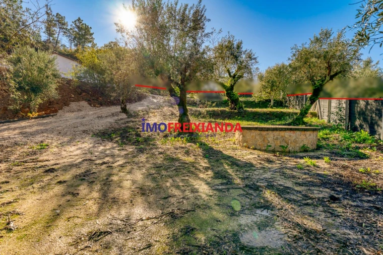 Moradia T1 para Venda em Pelma Foto 20