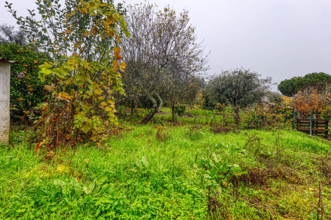 Moradia T4 para Venda em Mação, Penhascoso e Aboboreira Foto 32