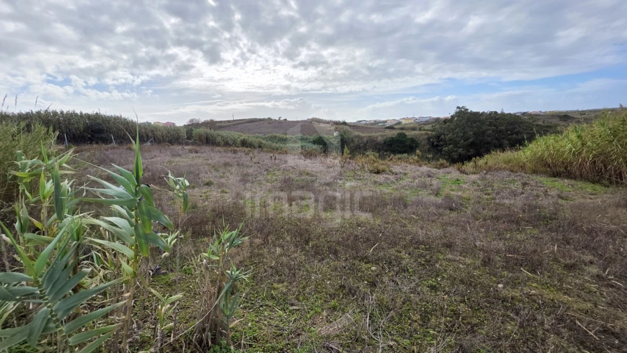 Terreno Agricola ou Rústico para Venda em Encarnação Foto 1