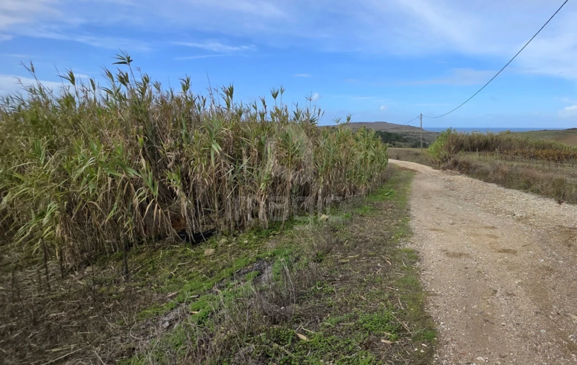 Terreno Agricola ou Rústico para Venda em Encarnação Foto 2