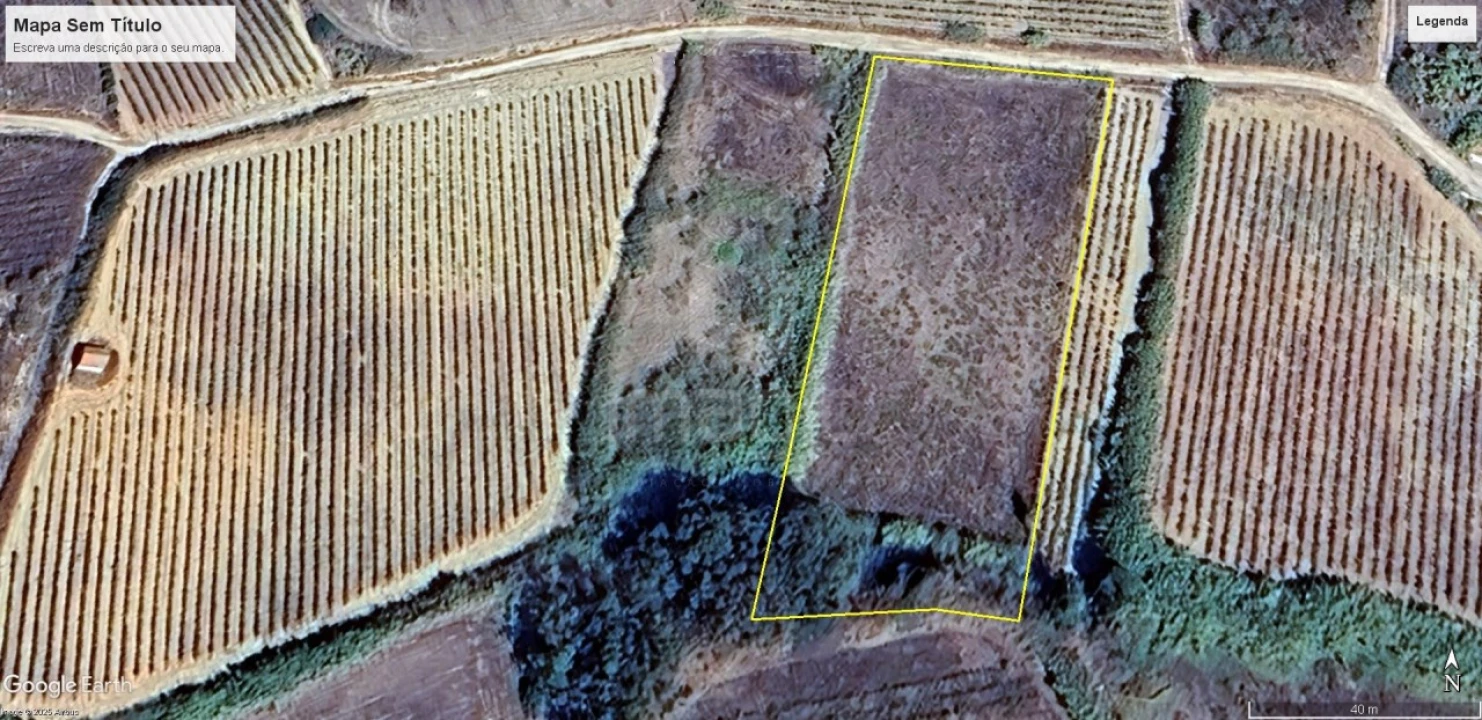 Terreno Agricola ou Rústico para Venda em Encarnação Foto 3