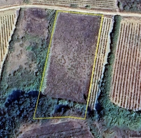 Terreno Agricola ou Rústico para Venda em Encarnação