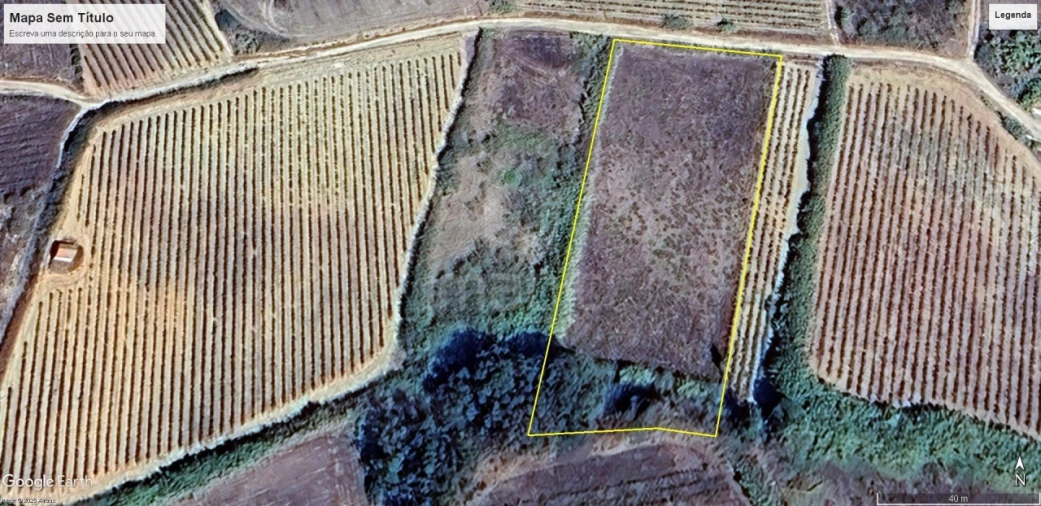 Terreno Agricola ou Rústico para Venda em Encarnação Foto 3