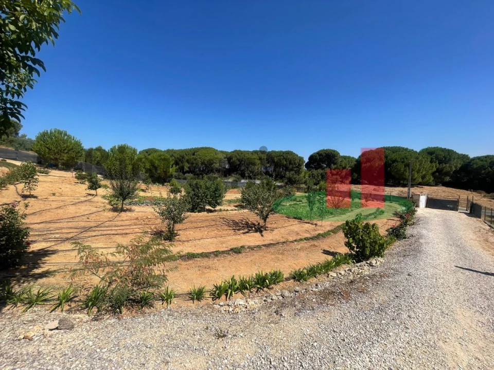 Terreno para Venda em São João da Ribeira e Ribeira de São João Foto 5
