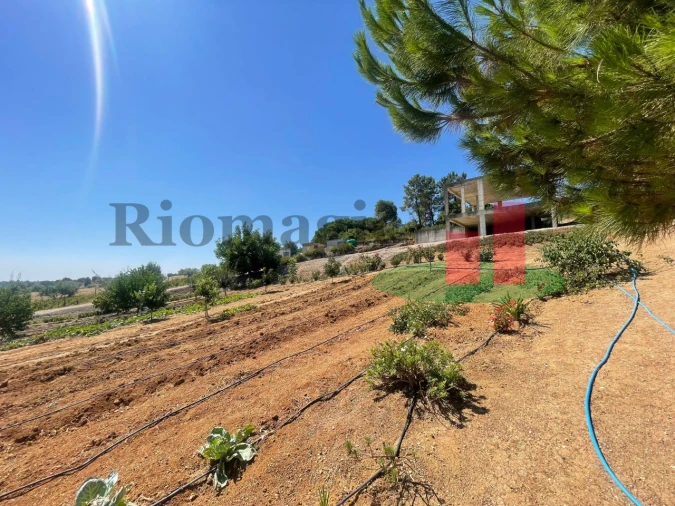 Terreno para Venda em São João da Ribeira e Ribeira de São João Foto 39