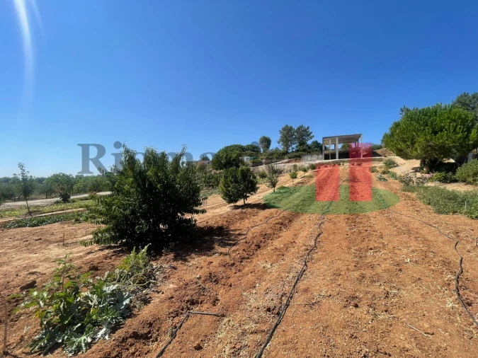 Terreno para Venda em São João da Ribeira e Ribeira de São João Foto 41