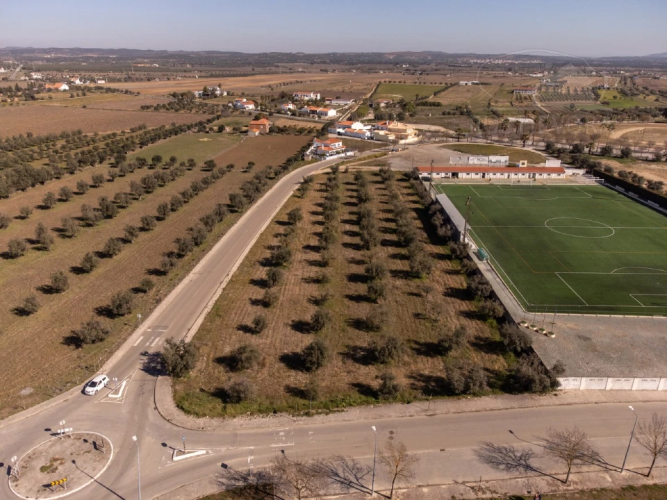 Terreno para Venda em Reguengos de Monsaraz Foto 20